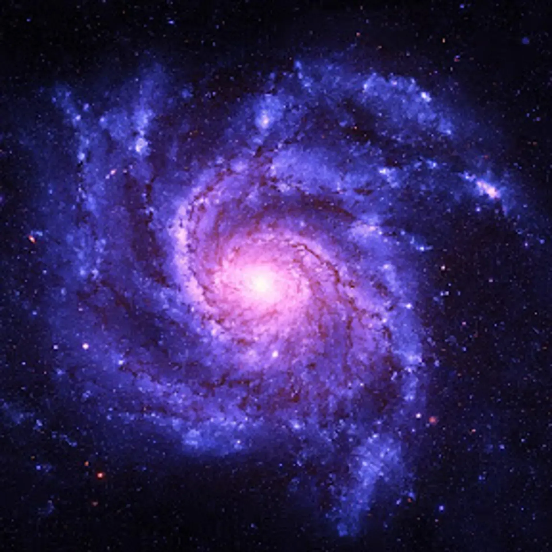 Galaxy